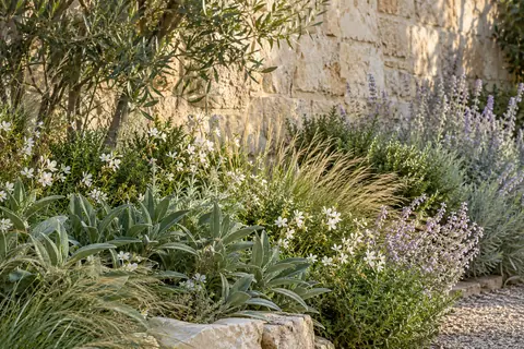 Sauge, graminées et fleurs délicates devant un mur de pierre aux tons chauds.